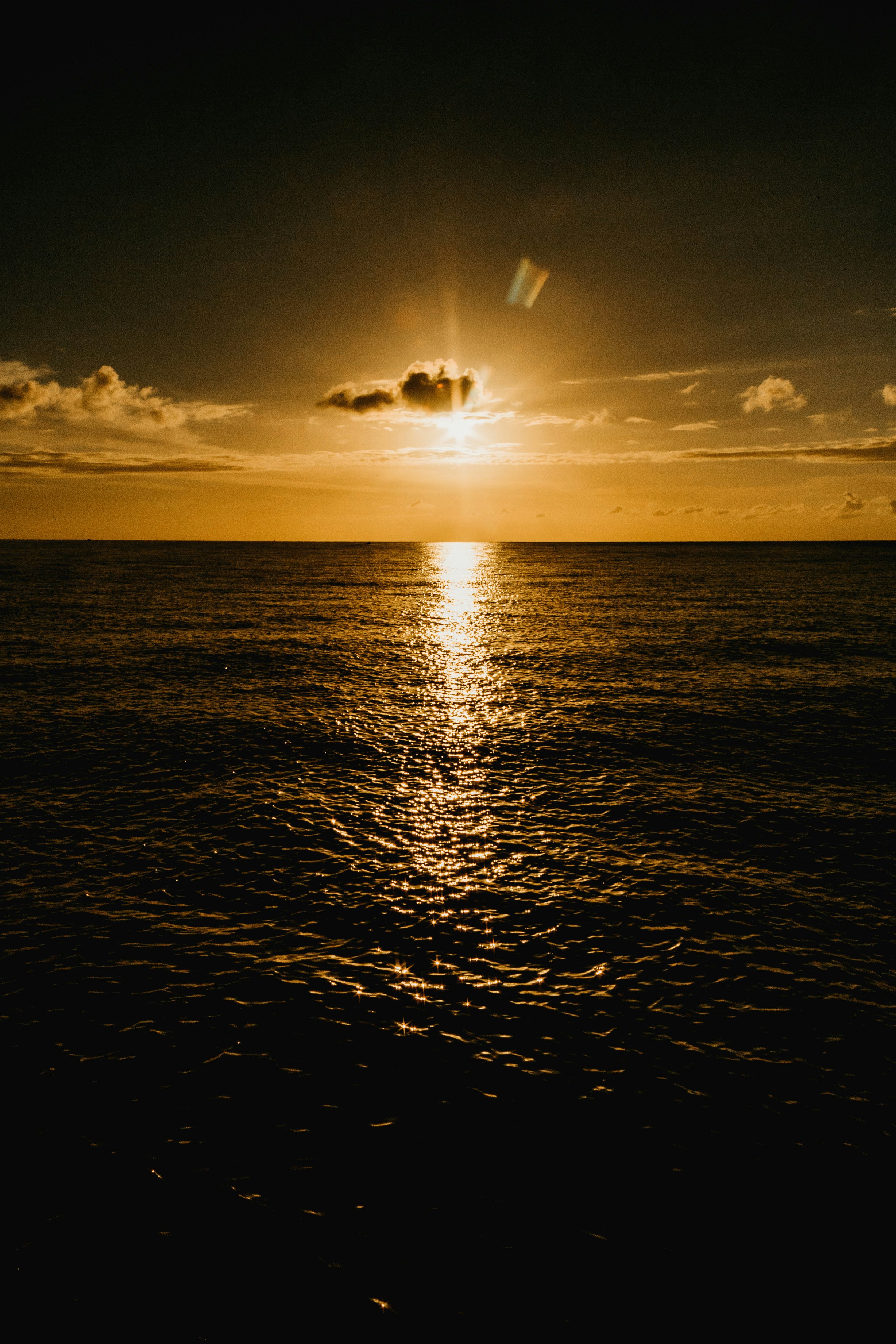 silhouette of birds flying over the sea during sunset